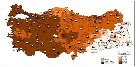 Türkiye okuma yazma oranı 2016